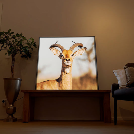 LED-Bild mit Hirschkopf und Geweih, warm beleuchteter Motivdruck, dunkler Rahmen.