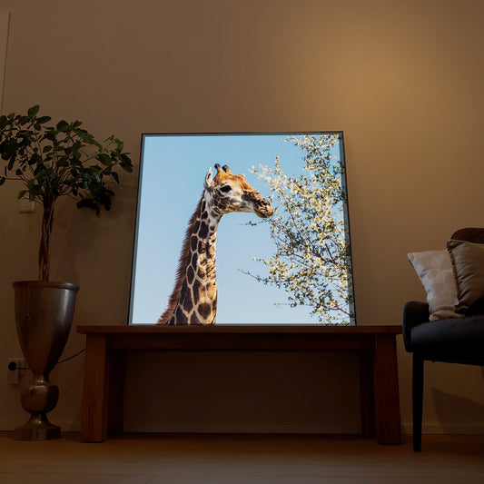 LED-Bild im Holzrahmen mit Giraffe im Profil und Blütenzweigen