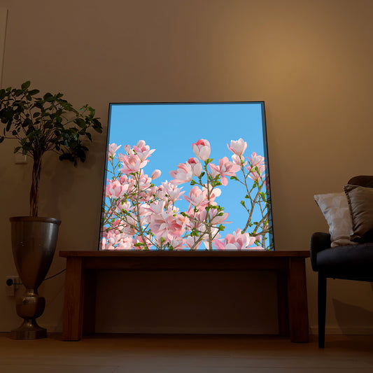 LED-Bild mit blühendem Rosenbaum in Rosa im schwarzen Rahmen