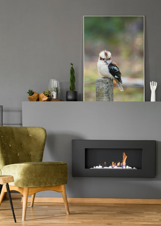 Kookaburra-Wandbild mit Vogel auf Stein im gerahmten Druck