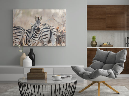 Zebra-Wandkunst rechteckig, mehrere Zebras vor grauem Marmorhintergrund