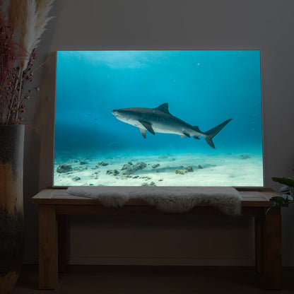LED-Bild mit Hai-Motiv im Meer, rechteckiger Rahmen, dunkel