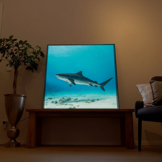 LED-Bild mit Hai im blauen Meer, rechteckiger Rahmen