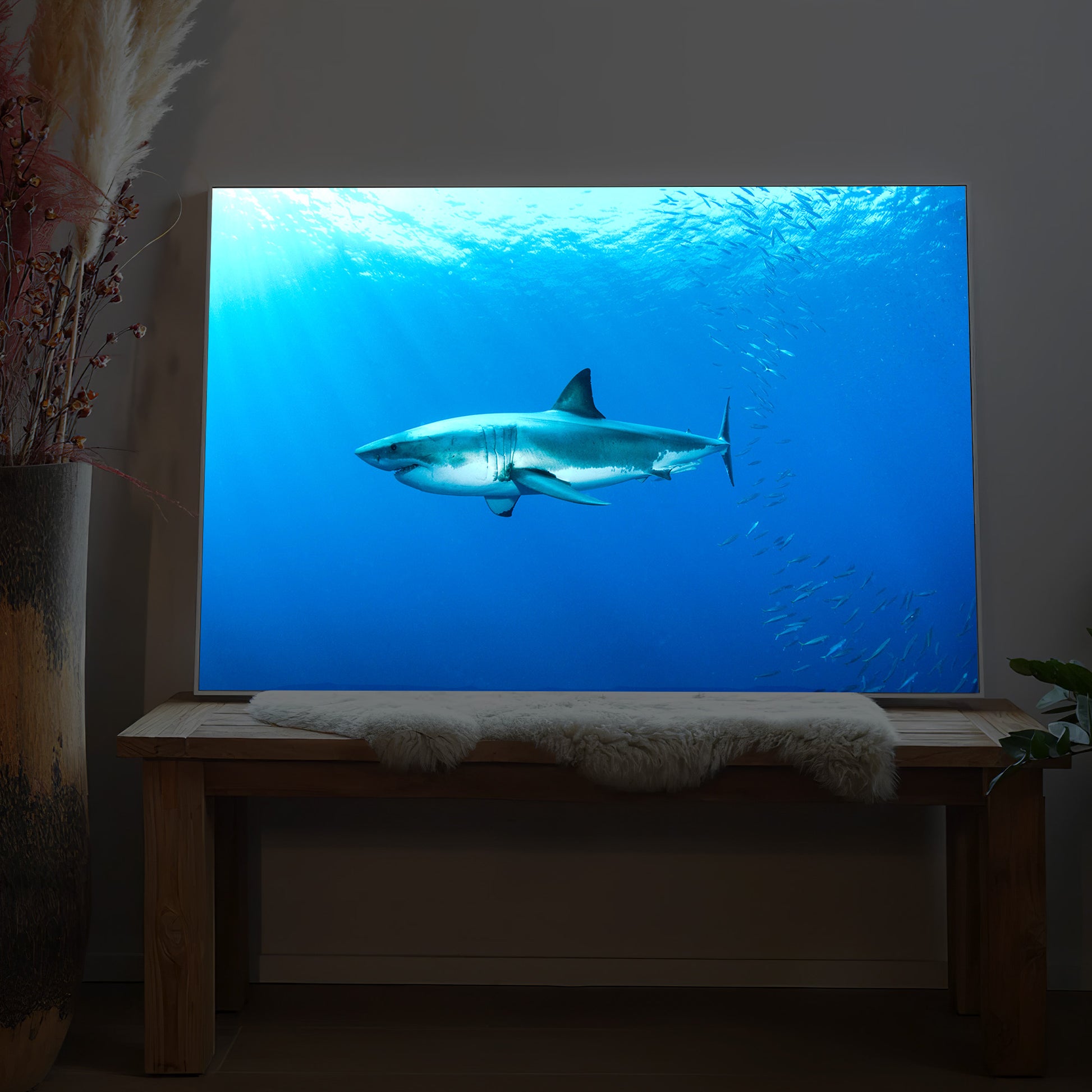 Gerahmtes LED-Bild mit weißem Hai im blauen Meer, frontal vor Bank