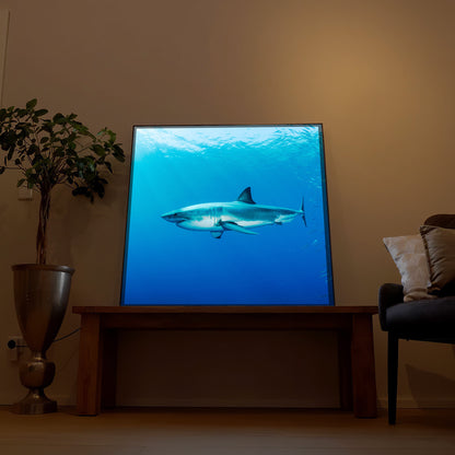 Gerahmtes LED-Bild mit Hai im blauen Wasser, auf Holz-Kommode im Wohnzimmer