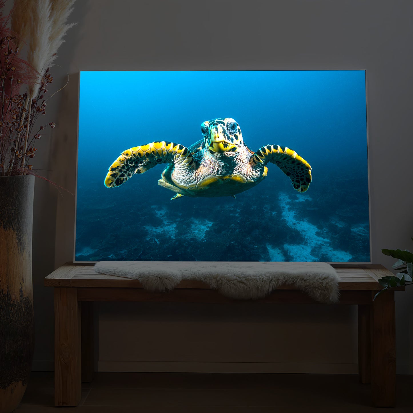 Gerahmtes LED-Bild mit Schildkröte im Riff auf blauem Meeresmotiv