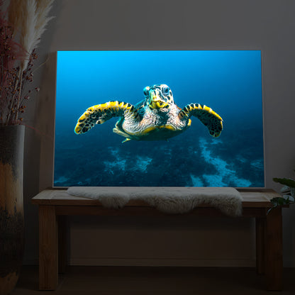 Gerahmtes LED-Bild mit Schildkröte im Riff auf blauem Meeresmotiv
