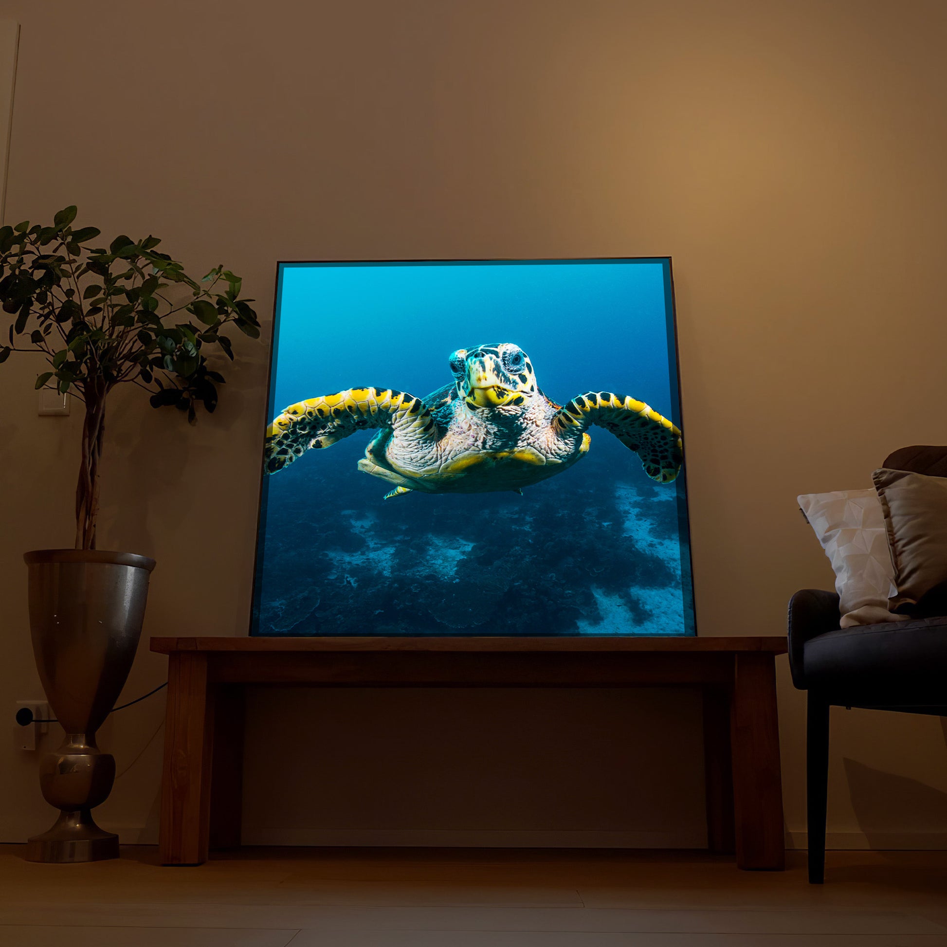 Gerahmtes LED-Bild: Schildkröte im Riff mit blauem Hintergrundmotiv