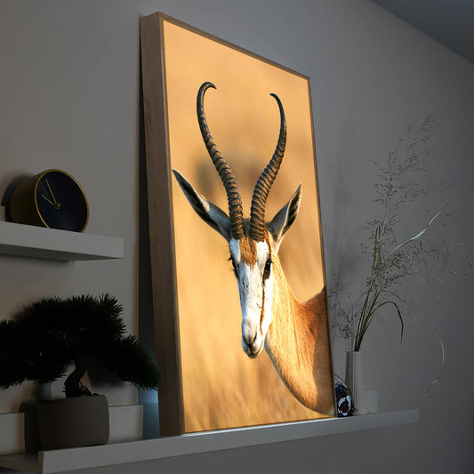 Gerahmtes LED-Bild mit Springbock-Motiv vor warmem Hintergrund
