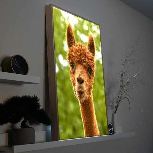 LED-Bild im Holzrahmen mit Porträt eines braunen Hundes