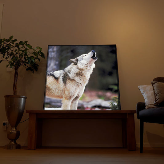 LED-Bild mit Wolf im schwarzen Rahmen, frontal vor Möbeln