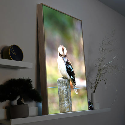 LED-Bild mit Vogelmotiv im Holzrahmen, LED-beleuchtetes Motiv