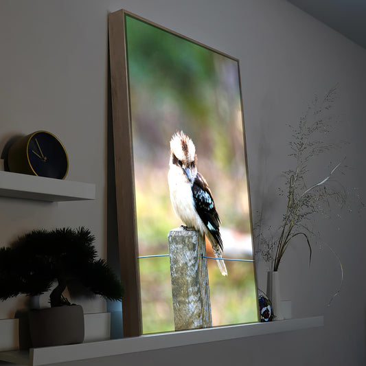 LED-Bild mit Vogelmotiv im Holzrahmen, LED-beleuchtetes Motiv