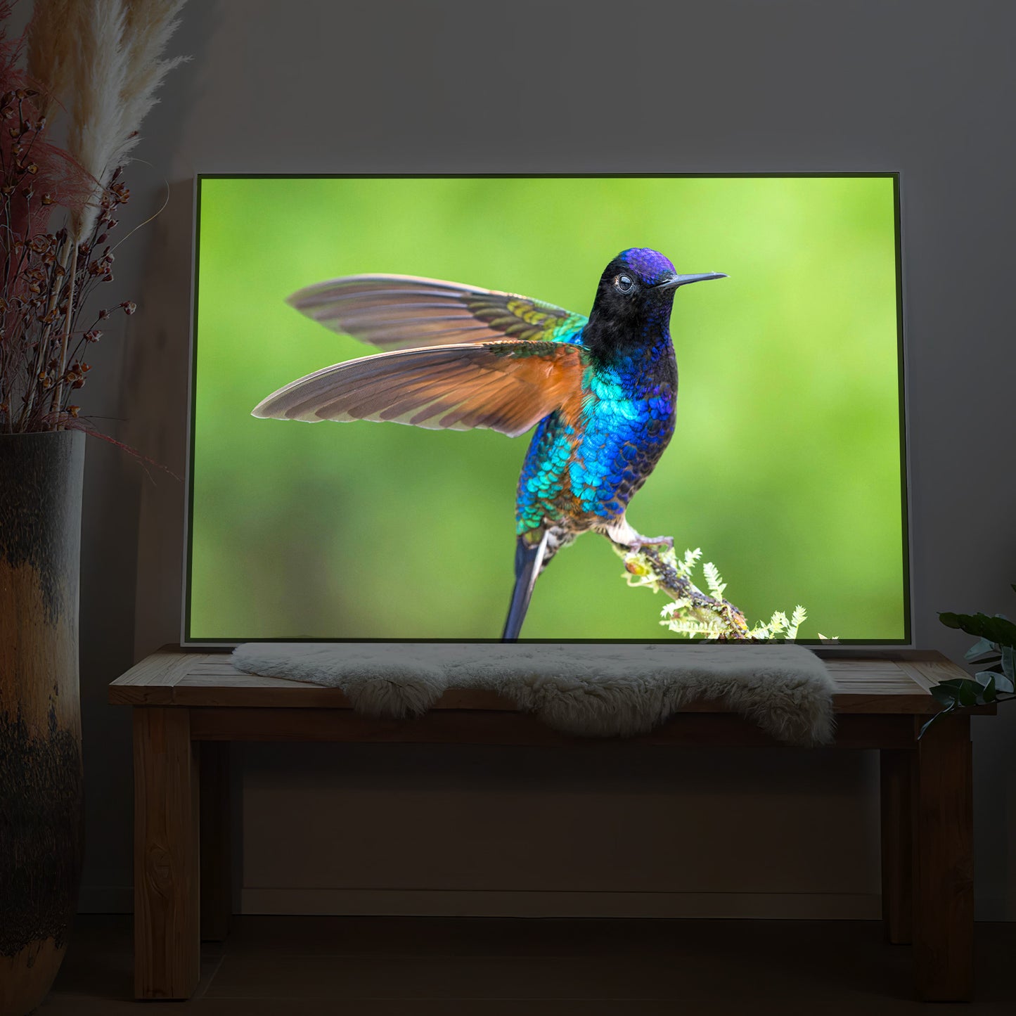 Gerahmtes LED-Bild: bunter Vogel auf Ast vor grün leuchtendem Hintergrund