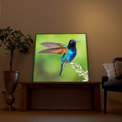 Gerahmtes LED-Bild mit buntem Vogel auf Ast, grün leuchtende Bildfläche