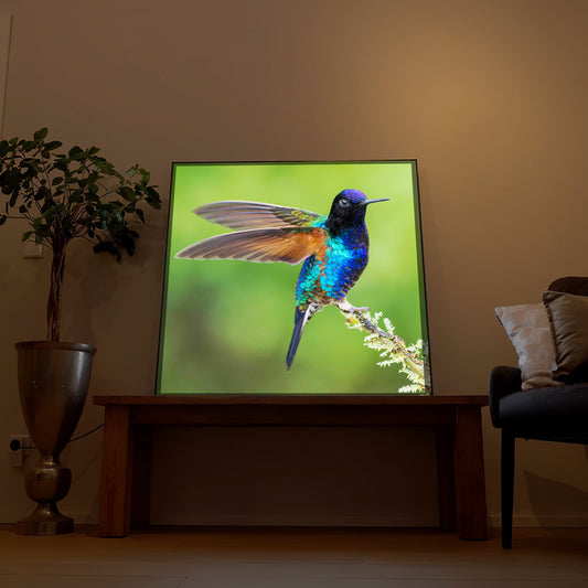 Gerahmtes LED-Bild mit buntem Vogel auf Ast, grün leuchtende Bildfläche
