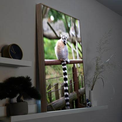 Gerahmtes LED-Bild mit Lemur auf einem Zaun in braunem Rahmen