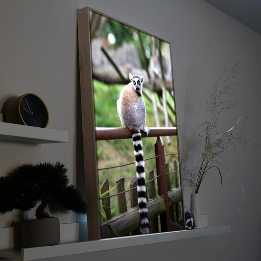 Gerahmtes LED-Bild mit Lemur auf einem Zaun in braunem Rahmen
