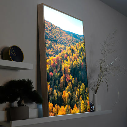 LED-Bild mit Holzrahmen, beleuchtete Waldlandschaft im Herbst