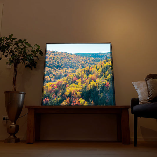LED-Bild mit Rahmen, beleuchtete Herbstwald-Landschaft im Querformat