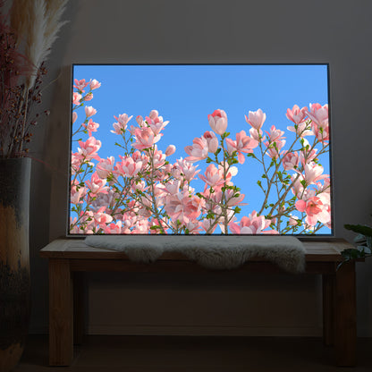 LED-Bild mit rosa blühendem Baummotiv und schwarzem Rahmen