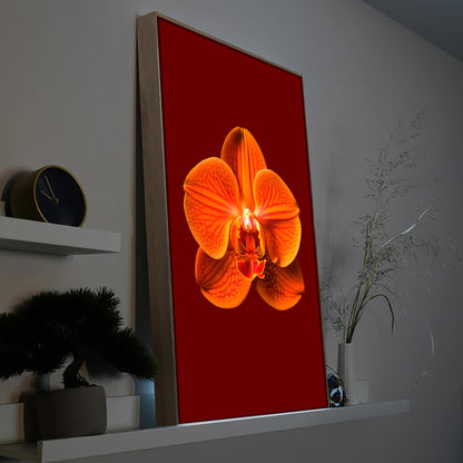 Gerahmtes LED-Bild mit orangefarbener Orchideenblüte auf rotem Hintergrund