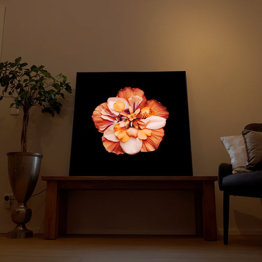 LED-Bild mit bunter Blüte in Orange, Rosa und Lila auf schwarzem Grund