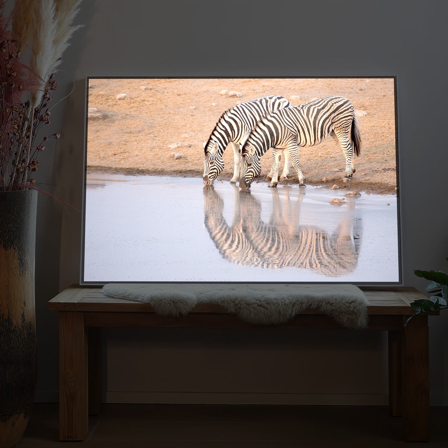 Gerahmtes LED-Bild mit trinkenden Zebras und Spiegelung im Wasser