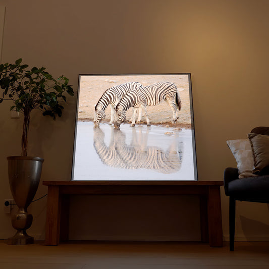 Gerahmtes LED-Bild mit Zebraherde am Wasser, Spiegelung im Motiv
