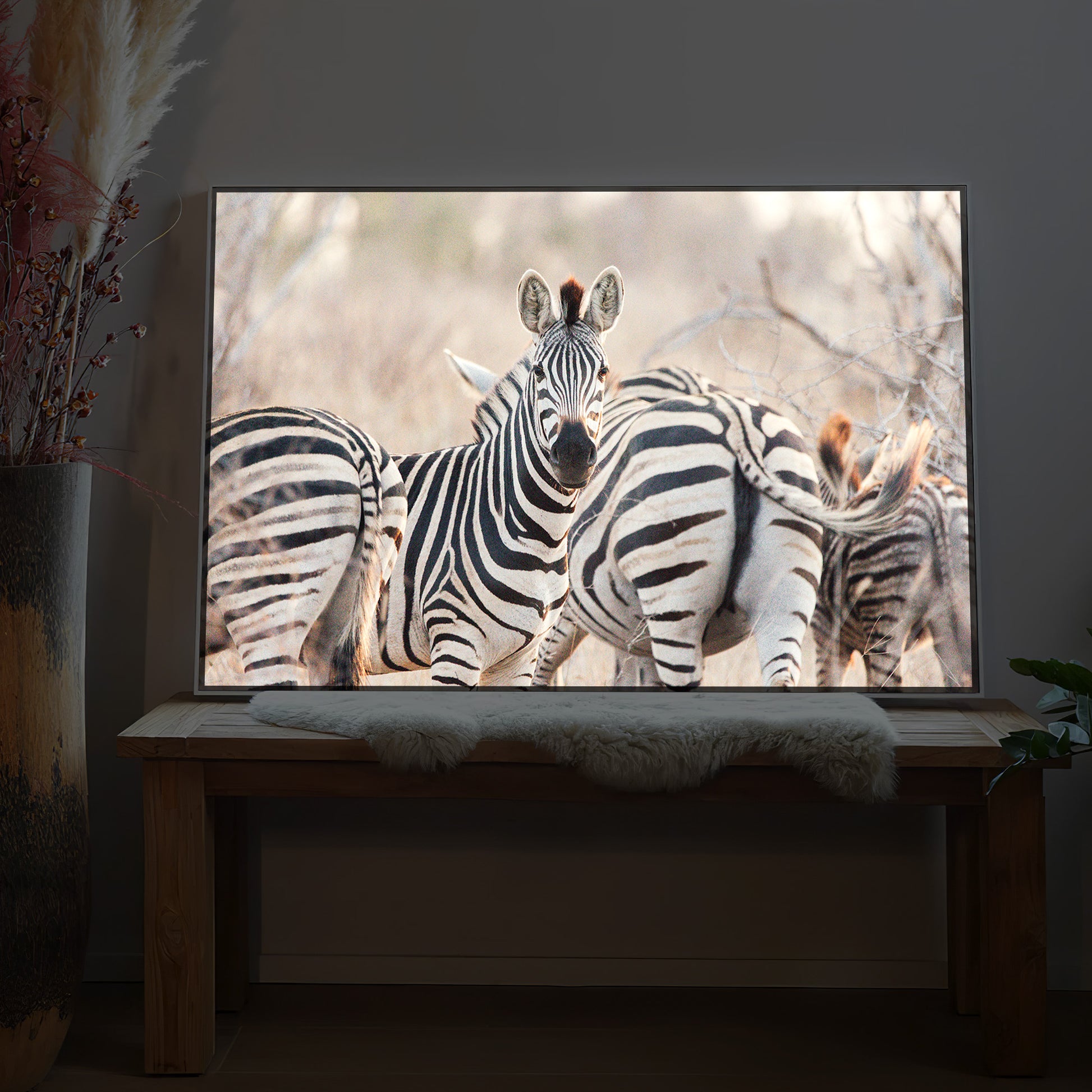 LED-Bild mit Zebra-Motiv im rechteckigen Format, schlicht gerahmt