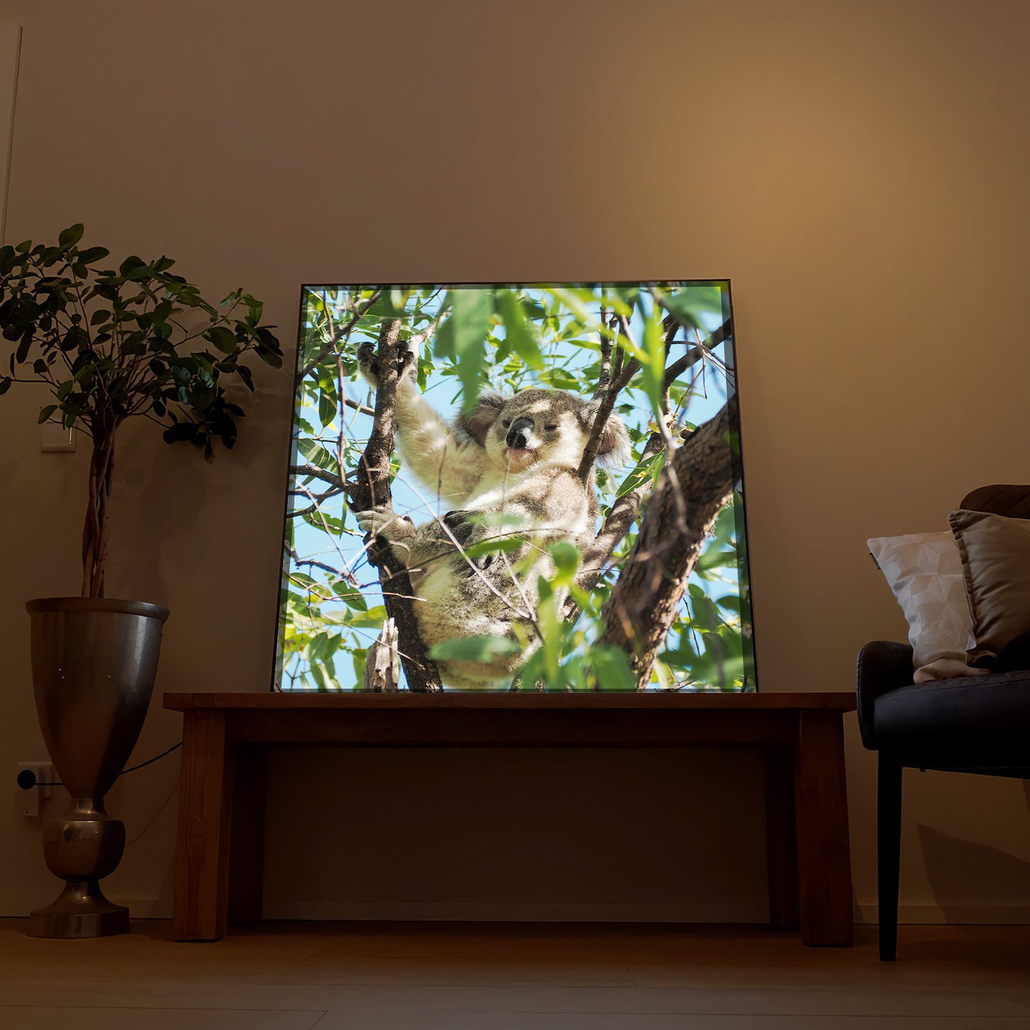 LED-Bild mit Koala-Motiv im Baum, im Holzrahmen, stehender Blickwinkel