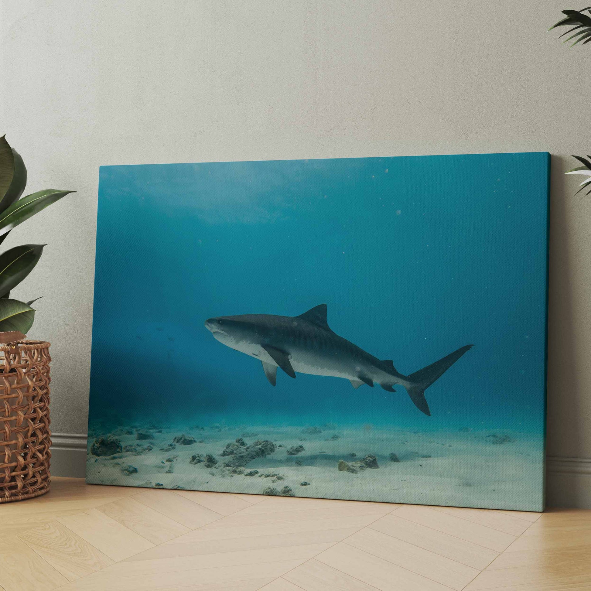 Rechteckiger Kunstdruck: Hai im blauen Wasser über Korallenriff