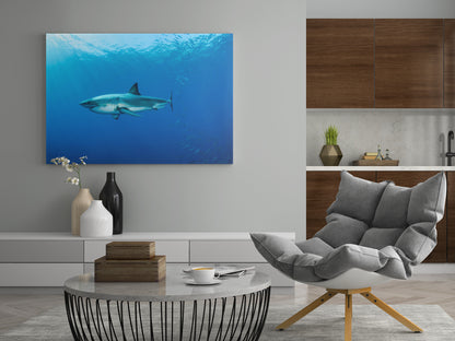Rechteckiges Wandbild: Hai im blauen Meer, querformat