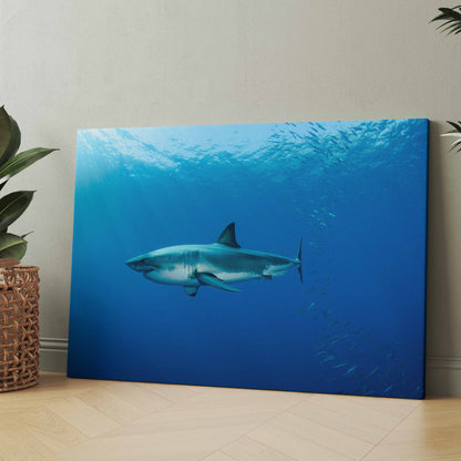 Rechteckiges Wandbild mit Hai im blauen Wasser, dynamische Seitenansicht
