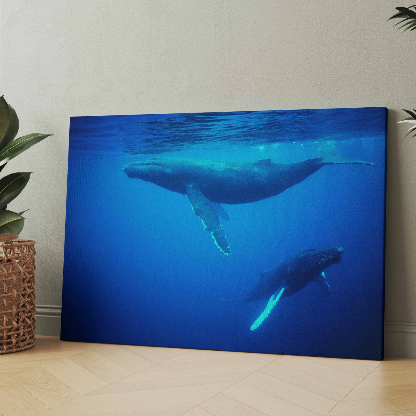 Leinwandposter mit blauem Meer: Buckelwale mit Flossen im Unterwasser