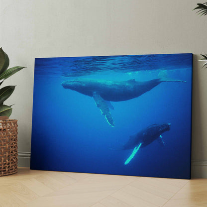 Leinwandposter mit blauem Meer: Buckelwale mit Flossen im Unterwasser