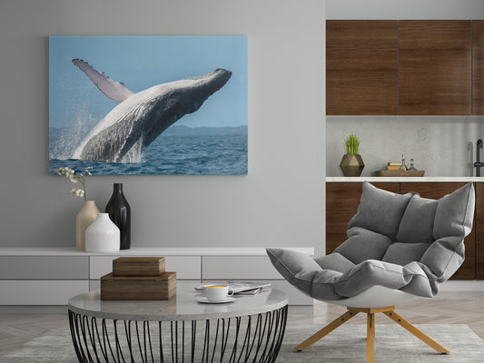 Wandbild mit Buckelwal im Wasser, blaues Meer und entfernte Küste