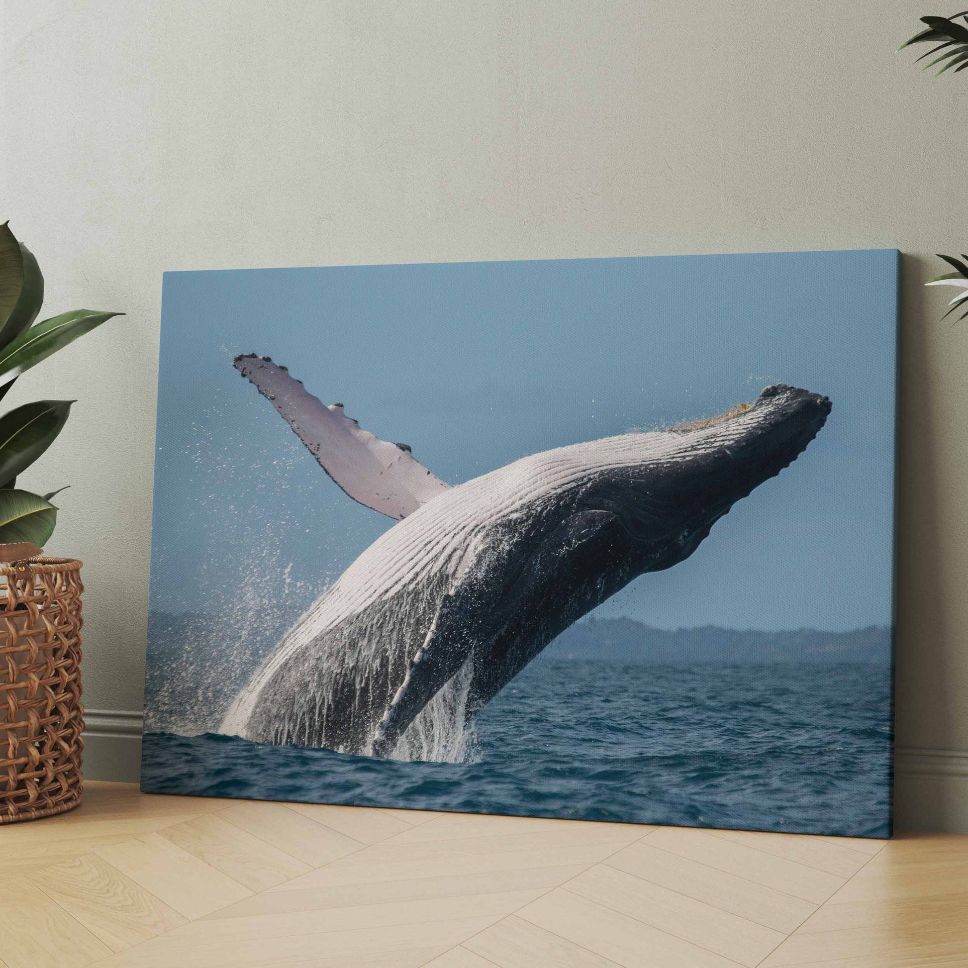 Leinwandbild mit Buckelwal, der aus dem Meer springt
