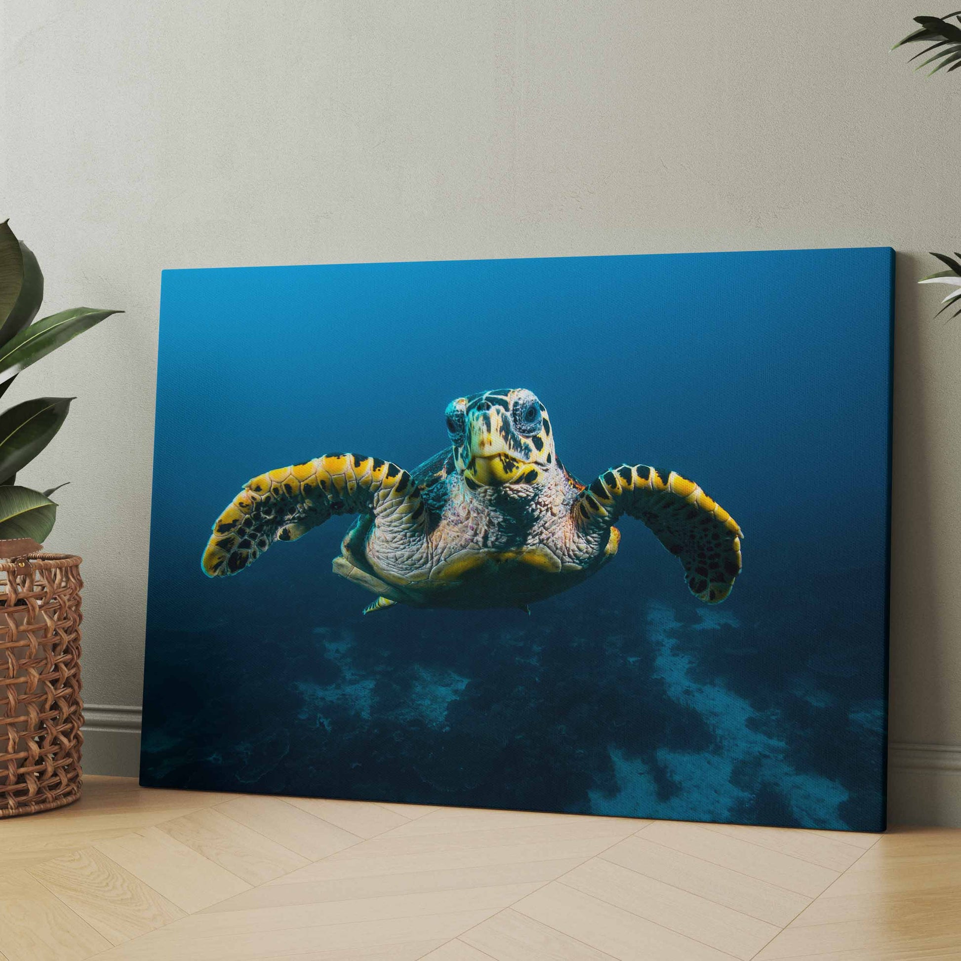 Leinwandbild mit Schildkröte unter Wasser auf blauem Riff-Hintergrund