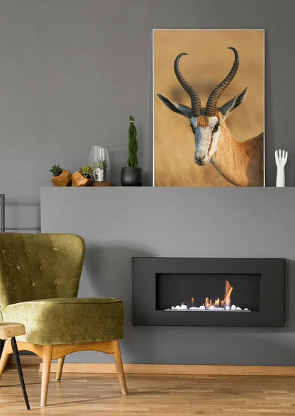 Springbock-Porträt als Poster oder Leinwand, mit Hörnern vor warmem Hintergrund