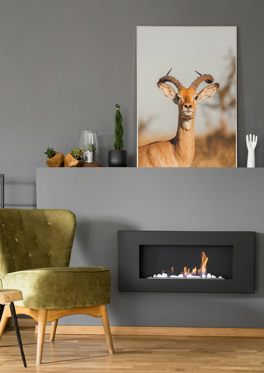 Hirsch-Geweih-Wandbild mit braunem Kopf und Antilopengeweih im Rahmen
