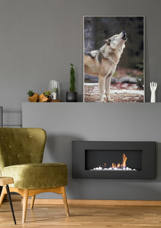 Wolf-Wandbild im Rahmen mit Blick auf einen heulenden Wolf