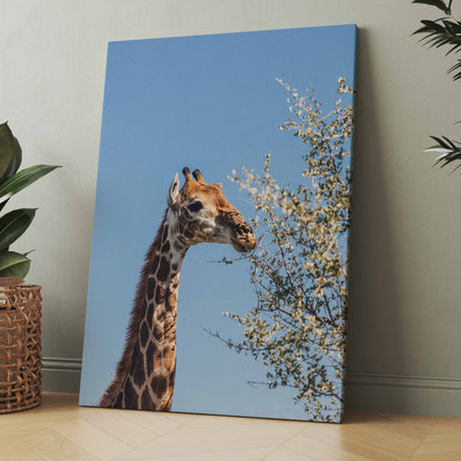 Wandbild mit Giraffe, die Blätter an Zweig frisst, hellblauer Hintergrund