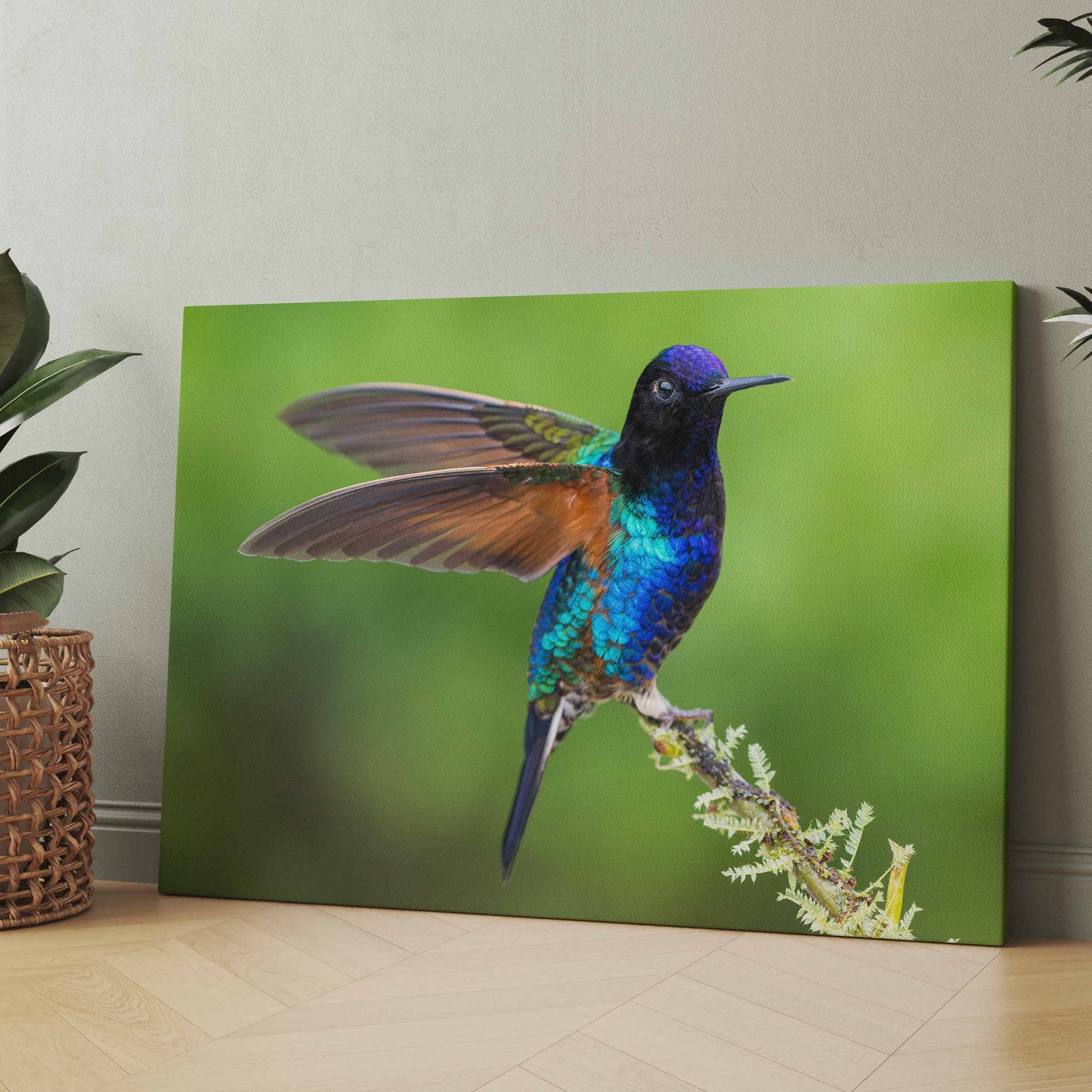 Vogelposter mit buntem Kolibri auf Ast, farbenfroher Vogel vor grünem Hintergrund