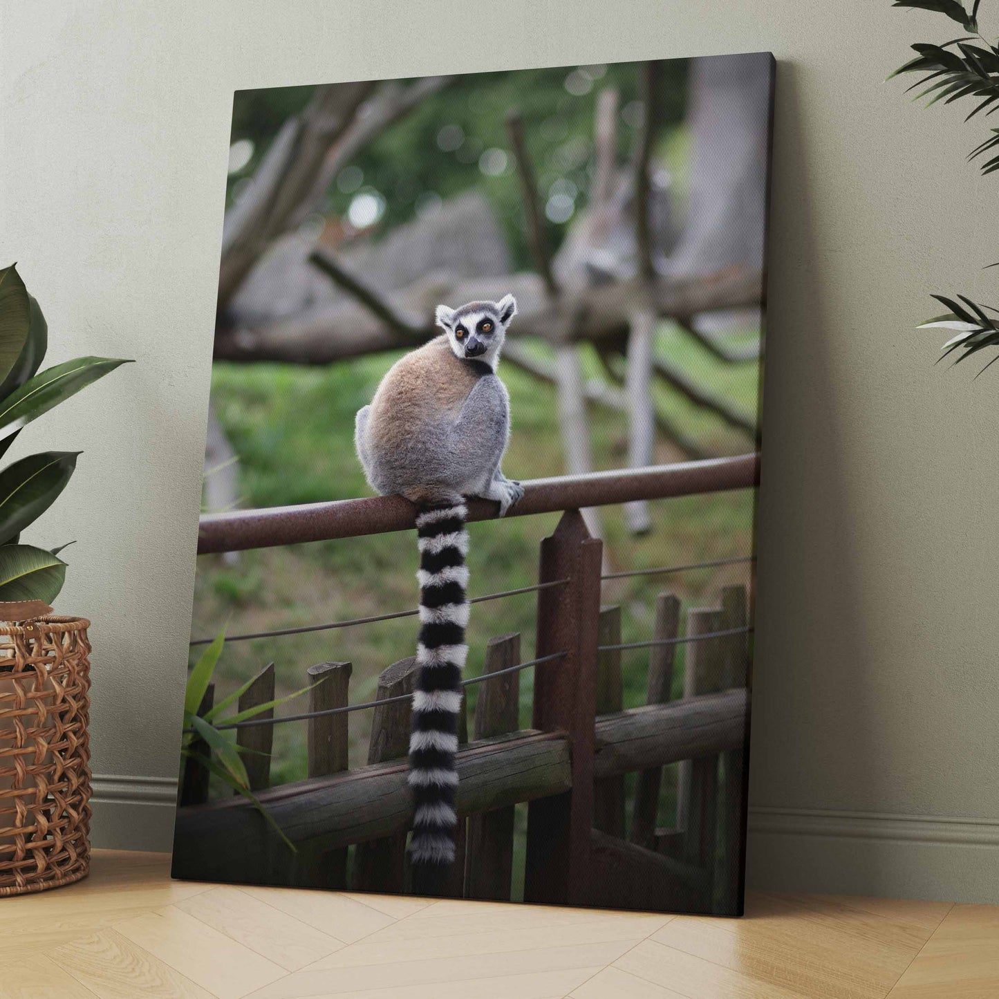 Leinwandbild mit Lemur auf einem Zaun, graues Tier mit gestreiftem Schwanz