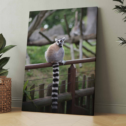Leinwandbild mit Lemur auf einem Zaun, graues Tier mit gestreiftem Schwanz