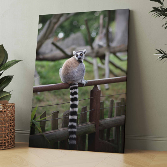 Leinwandbild mit Lemur auf einem Zaun, graues Tier mit gestreiftem Schwanz