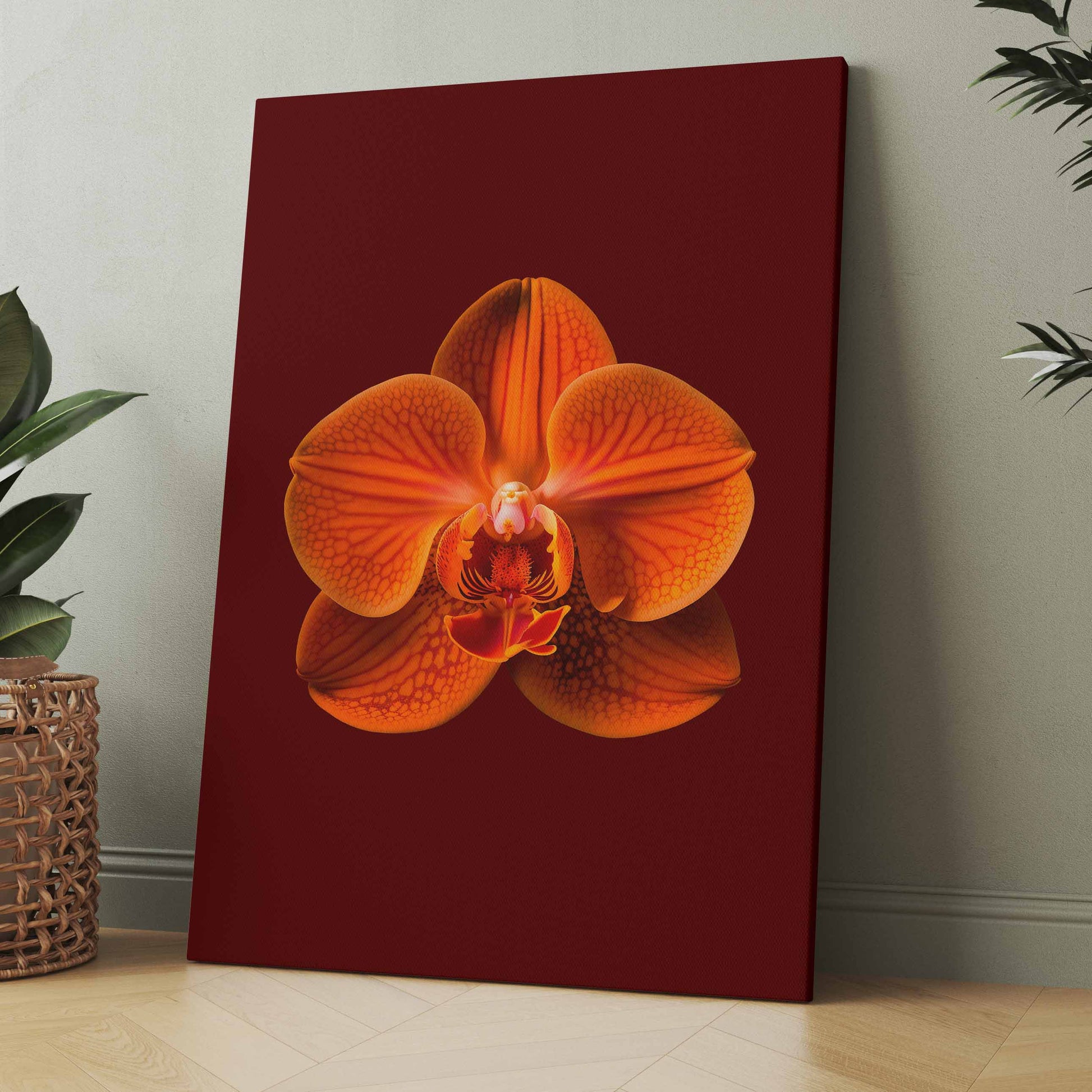 Wandbild mit orangefarbener Orchideenblüte auf dunklem Untergrund