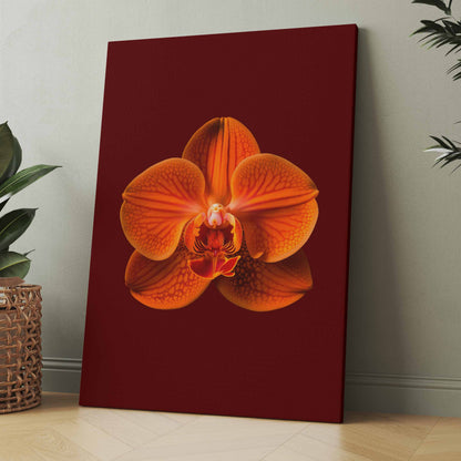 Wandbild mit orangefarbener Orchideenblüte auf dunklem Untergrund