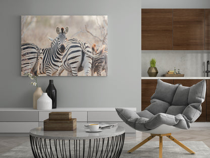 Zebra-Wandkunst rechteckig, mehrere Zebras vor grauem Marmorhintergrund